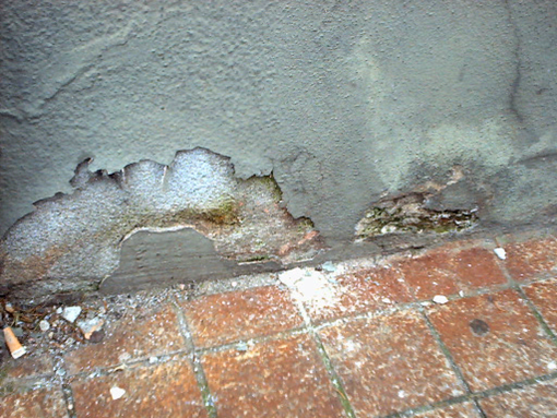 сырость и грибок на стенах  подвала